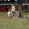 foire-haricots 2011-09-17et18